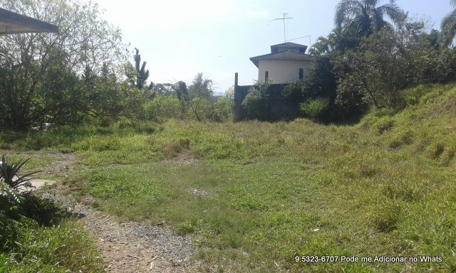 Terreno à venda, 10000m² - Foto 4