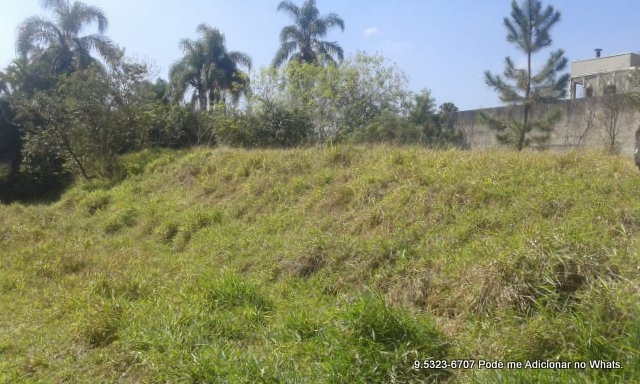 Terreno à venda, 10000m² - Foto 6