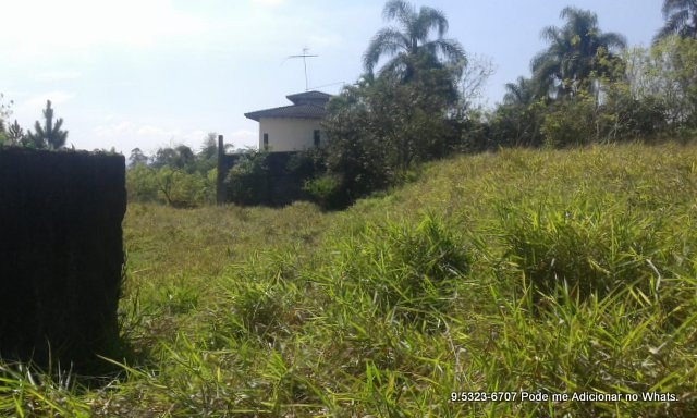 Terreno à venda, 10000m² - Foto 11