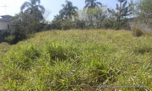 Terreno à venda, 10000m² - Foto 13