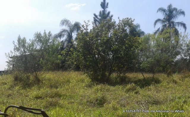 Terreno à venda, 10000m² - Foto 15