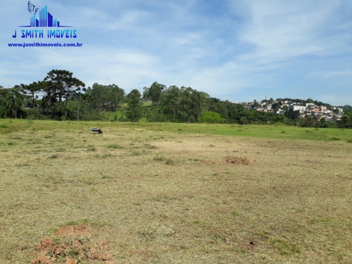 Terreno à venda, 20000m² - Foto 6