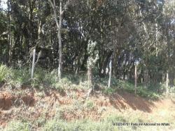 Terreno para Venda em Carapicuíba - 2