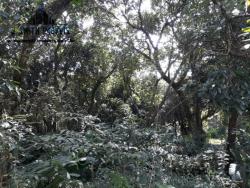 Terreno em condomínio para Venda em Cotia - 5