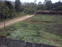 Terreno para Venda em Cotia - 2