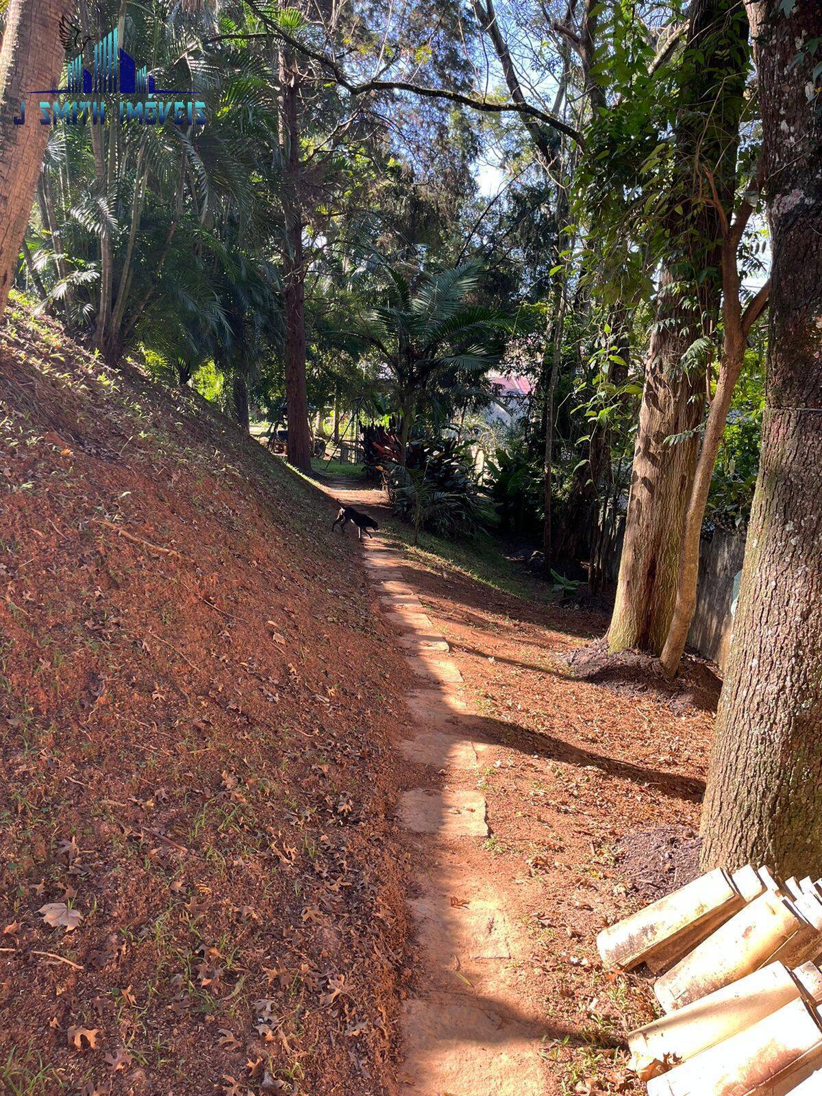 Terreno à venda, 2600m² - Foto 5